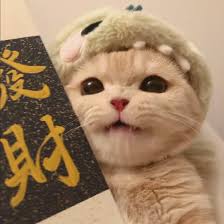 Ảnh đại diện Linh Nhi